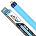 Wave-Point Super Blue Wave 54-Watt High Output T-5 Lamp
