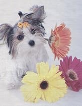 100 Piece Puzzle Cube - Daisy Dog