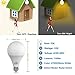 Motion Sensor Light Bulb 12W Smart Bulb Radar Dusk to Dawn LED Motion Sensor Light Bulbs E26 Base Indoor Sensor Night Lights Soft White 2700K Outdoor Motion Sensor Bulb Auto On/Off by LUXON