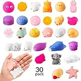 CORAL ENTERTAINMENTS Squishies Toys 30 Pack Kawaii Squishy Set Mini Soft Squeezable Sensory Fidget Toys Slow Rising Decoration and Stress Relief