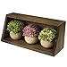 Mildenhall Artificial Plastic Mini Plants for Decoration - Topiary for Versatile Home Decor with Attractive Solid Wood Shelf Included - Set of 3 Plants with Shelf