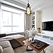 COOLWEST Industrial Pendant Light, Mini Hanging Caged Vintage Edison Hanging Cage Pendant Lighting E26 E27 Black Cord Light Fixture On/Off Switch for Home Kitchen