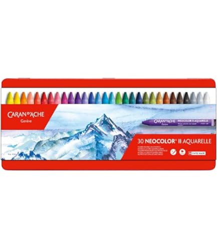 Amazon.com : Caran D'ache Neopastel Oil Pastels Set Of 24