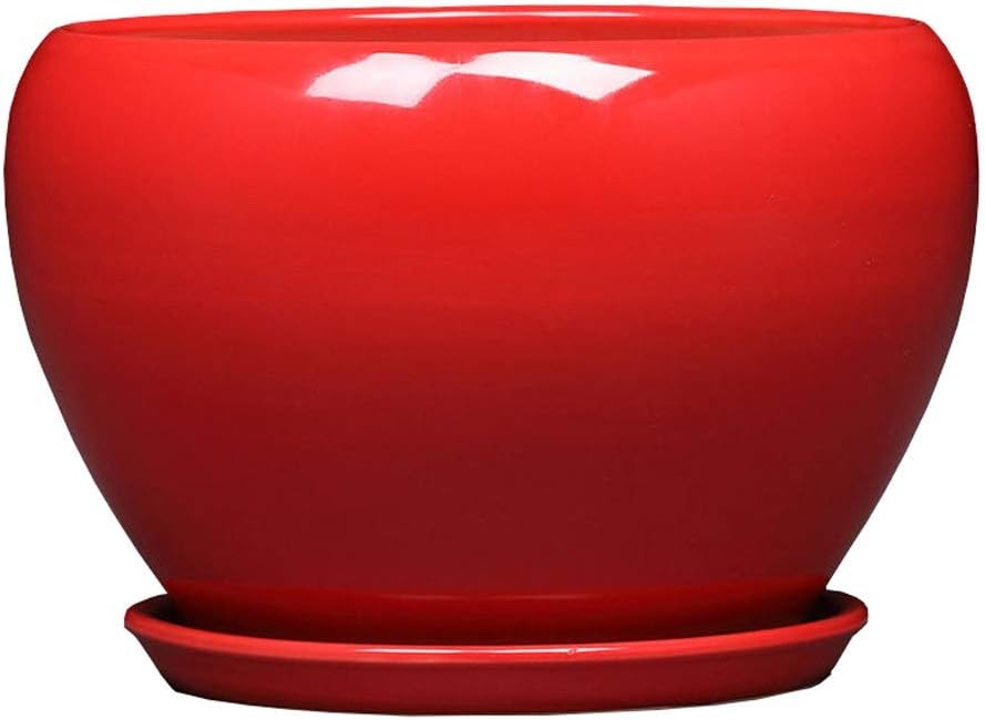 indoor ceramic planters with saucer