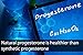 Wake Up Sense Natural Bioidentical Fast Absorbing Wild Yam USP Progesterone Cream For Men & Women, 3.7 oz - 110 pumps with 2400mg Pure Progesterone - Paraben & Phenoxyethanol FREE