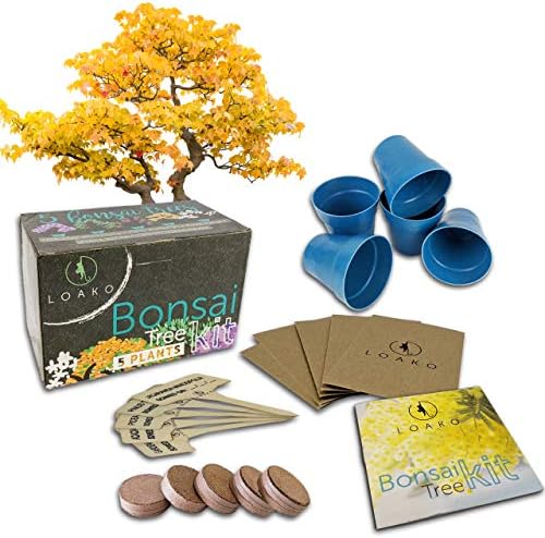 Bonsai Tree Starter Kit