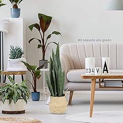 Worth Garden 3ft Artificial Snake Plant Fake