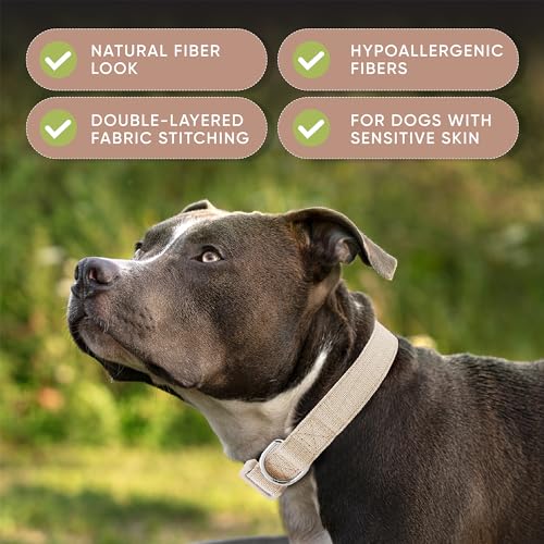 DCSP Pets Heavy-Duty Dog Collar for Small to Large Dogs Eco