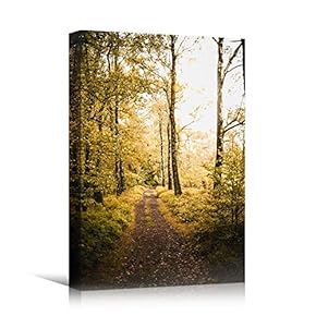 signwin Canvas Wall Art Autumn Dramatic Forest Landscape...