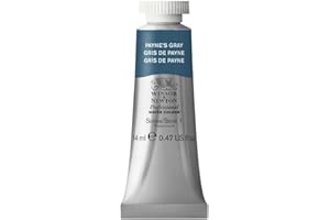 Winsor & Newton Professional Water Colour Paint, 0.47-oz Tube, Payne's Gray