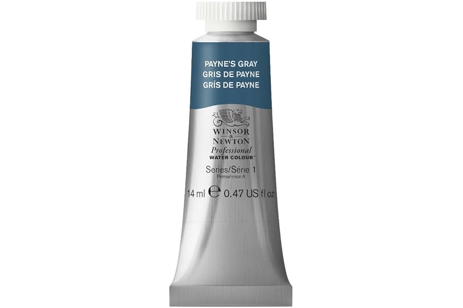 Winsor & Newton Professional Watercolor, 14ml (0.47-oz) Tube, Payne's Gray