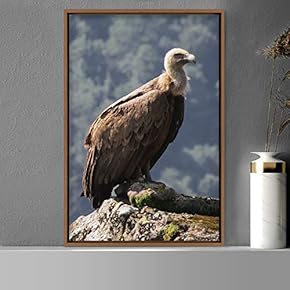 signwin Framed Canvas Wall Art Single Bird Birds...