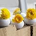 Chive - Set of 6 JoJo Small Oval Ceramic Flower Vase, Decorative Modern Floral Vase for Home Decor Living Room Centerpieces and Events, Cute Bud Vase (White)