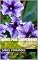 Livro Flores para Schopenhauer
