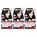Garnier Color Sensation Hair Color Cream, 1.0 In the Black (Black), (Pack of 3) (Packaging May Vary)