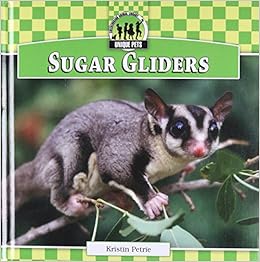 sugar glider online