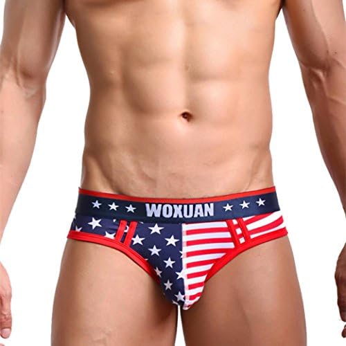 Men's Stretch Hip Bikini American Flag Design Boxers Briefs Underwear (L, Multicolor)