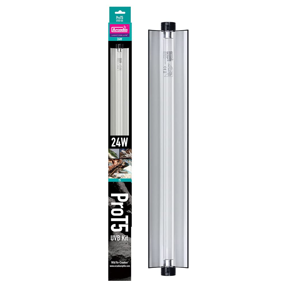 Arcadia 584507 Pro T5 UVB Kit 24 W with 14% Dragon Tube 57.5 x 6 x 4.5 cm