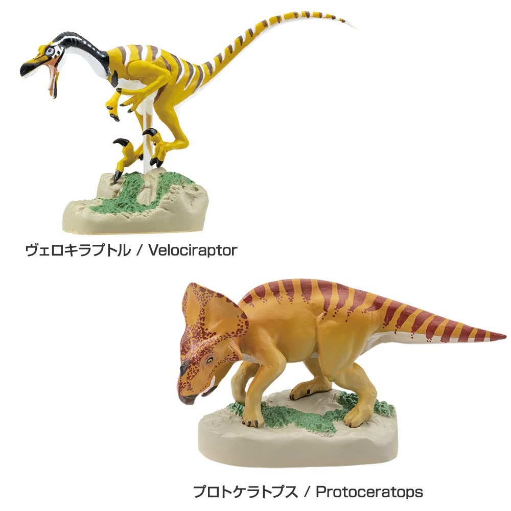 立体図鑑 7種セット