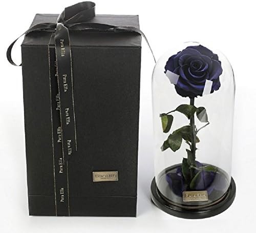 "Beauty and the Beast" Enchanted Rose, Glass Cover Preserved Fresh Rose Flower Immortal Rose - For Valentine's Day, Christmas, Wedding Gifts (Blue Rose-Trust)
