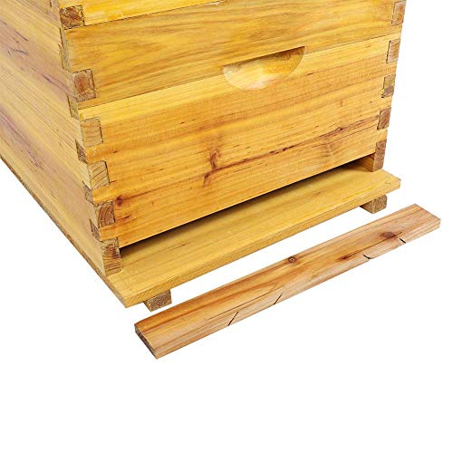 Bienenstock, Bee Hive Kit abschließen 10-Rahmen-Imkerbox-Kit Zedernholz