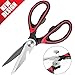 Kitchen Scissors