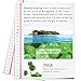 Best High Functional Double-Acting Madeca Moisture Healing Cream 3packs for Brightening and Soothing - Made in Korea