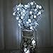 Dealgadgets Led String Light, 15ft String Light Warm White Fairy Lights Battery Operated Waterproof Outdoor/Indoor DIY Decoration Christmas Party, Wedding, Garden (Snowflakes)