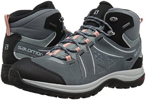 salomon ellipse 2 mid ltr gtx