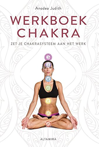 Download Werkboek chakra's (Dutch Edition) PDF