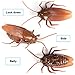 Running Ant Remote Control Cockroach Realistic Prank Cockroach Prank Trick Toys