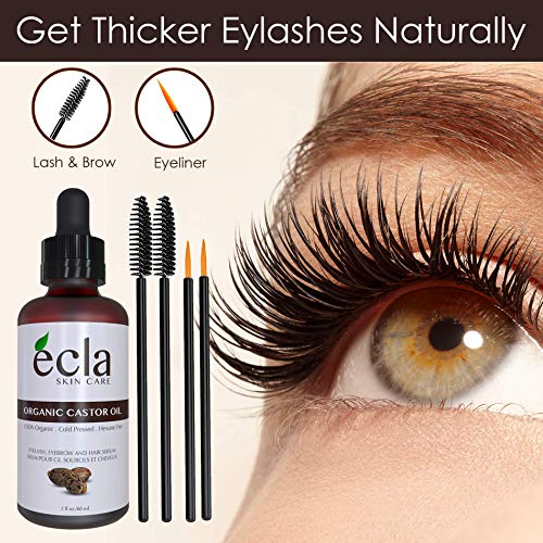 Castor Oil Organic Cold Pressed - Eyelash Eyebrow Hair Growth Serum - Pure USDA Certified Made in Canada (2 Oz - 60ml) for Hair Beard Eyelashes and Eyebrows in Glass Bottle with Brush Applicators kit - Thumbnail 2
