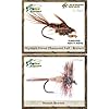 Top-Selling-Flies-Guides-TOP-Assortment-NORTHEAST-31-flies