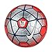 Nike Pitch Premier League Soccer Ball