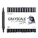 Dainayw Grayscale Alcohol Art Marker Pens, Permanent Dual Tips Cool Grey Markers for Drawing, Shading, Outlining, Illustrating and Rendering,Colorless Blender, 12 Pack