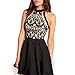 Dreaweet Women's Mesh Vintage Floral Lace Swing Halter Neck Sleeveless Skater Dress