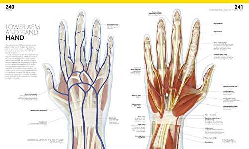 The Complete Human Body, 2nd Edition: The Definitive Visual Guide - Thumbnail 6