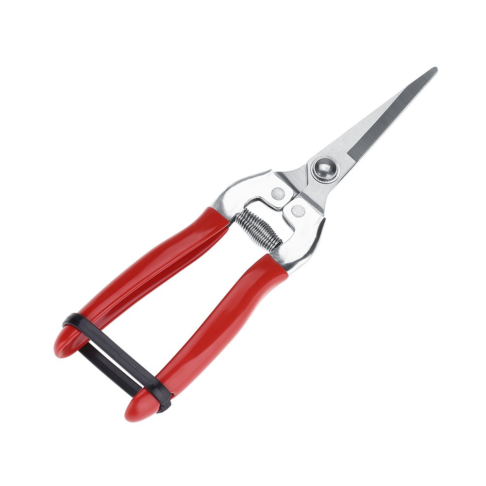 Photo 1 of Straight Pruning Shears, Fruit Tree Bonsai Florist Multi-Tasking Cutter Garden Pruner Tool, for Arranging Flowers, Trimming Plants and Harvesting Herbs, Fruits Or Vegetables(Straight)