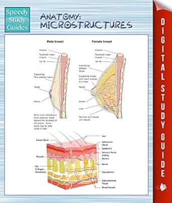 Anatomy Microstructures Speedy Study Guides Speedy