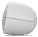 Sony XB20 Portable Wireless Speaker with Bluetooth, Grey