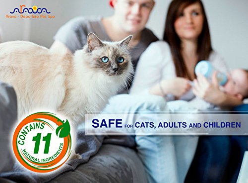 Arava Flea & Tick Prevention for Cats - 4-Doses – Puppy & Cat Flea Treatment - Botanical Flea & Tick Control Drops Repel Pests with Natural Oils – 100% Safe for Pets - Enhanced Defense & Prevention