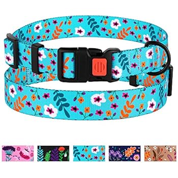 CollarDirect Floral Dog Collar Nylon Pattern Flower Print Adjustable Pet Collars for Dogs Small Medium Large Puppy (Neck Fit 10