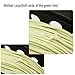 Isafish Fly Reel 5/6 Wt Pre-Loaded with Weight Forward Fly Line, Backing, Tapered Leader Combo Set