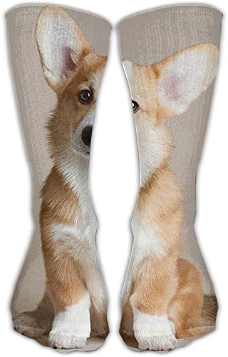 HUE Lovely Corgi Men Women Novelty Crew Socks Cotton Socks Multicolored Pattern Ankle Dress Socks