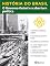 Livro História do Brasil - Livro IV - O Governo Geisel E A Abertura Política O Governo Na Disputa Política