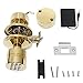 Signstek Keyless Entry Door Lock,Door Knob with Keypad and Key, Door Lock with Upward Facing Buttons, Matte Black