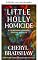 Livro O homicídio da pequena Holly (Georgiana Germaine de Natal Livro 2)