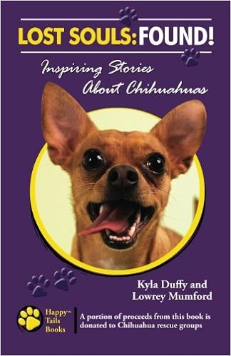 chihuahua lost and found