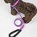 yueton Adjustable Loop Slip Lead Rope Pet Dog Reflective Stripe Nylon Leash with Sponge Handle (Purple)