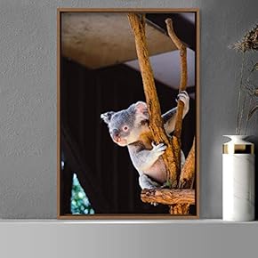 signwin Framed Canvas Wall Art Koala Bear Animals...